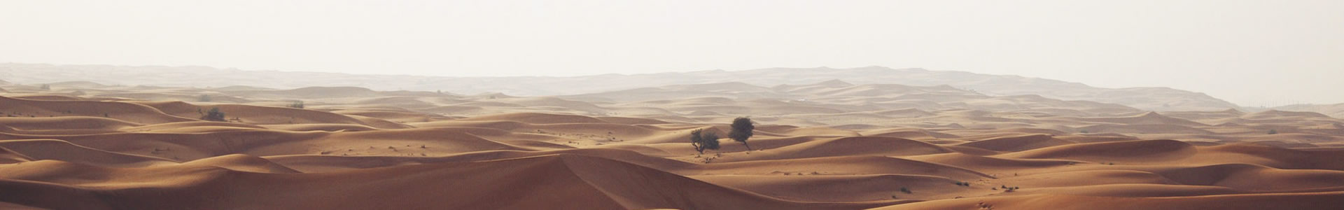 ڿƻ޹˾